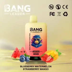 BANG Leader 45000 Puffs