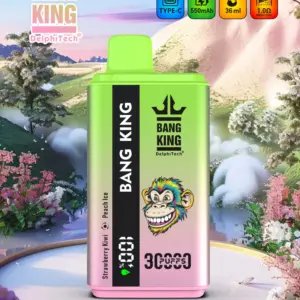 Bang King 30000 Puffs