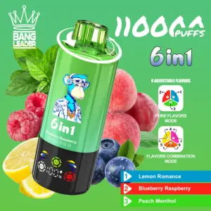 BANG Leader 6-in-1 110000 Puffs